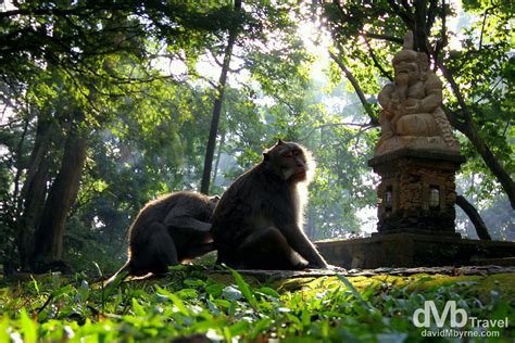 Sacred Monkey Forest Sanctuary Ubud Bali Worldwide Destination