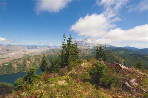 Hiking Castle Peak In Ford Pinchot National Forest Stock Image