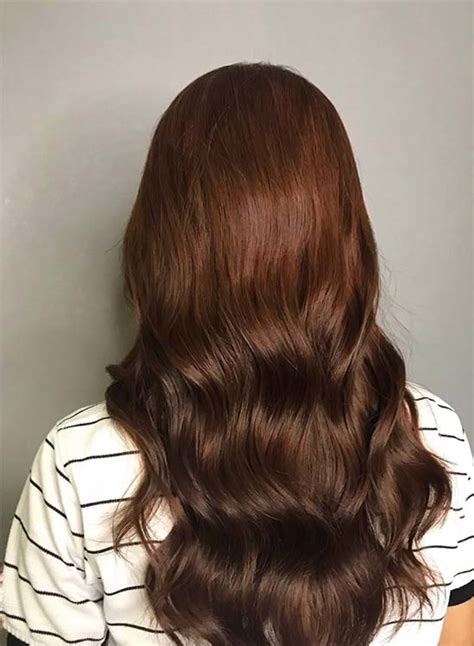 Hazelnut Hair Color Brown Toasted Light Ideas Pictures Hairsentry