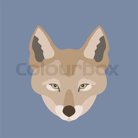 Jackal Face Vector Stock Vector Colourbox