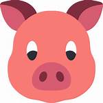 Pig Icon Icons Flaticon
