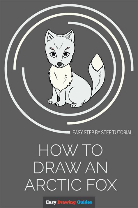 How To Draw An Arctic Fox Fox Drawing Easy Drawing