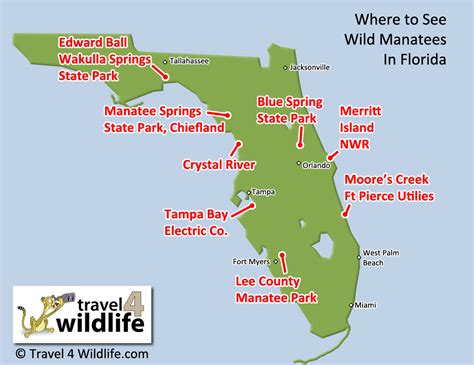 The view is breathtaking on manatee tours. Where to See Manatees in the Wild - Travel 4 Wildlife