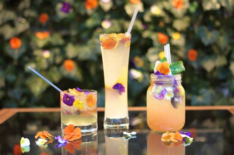 Where to buy edible flowers for cocktails. FLOWER POWER COCKTAILS | Cocktails, Edible flowers ...