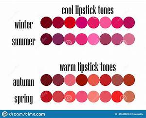 Stock Vector Seasonal Color Analysis Lipstick Colors Palette Stock