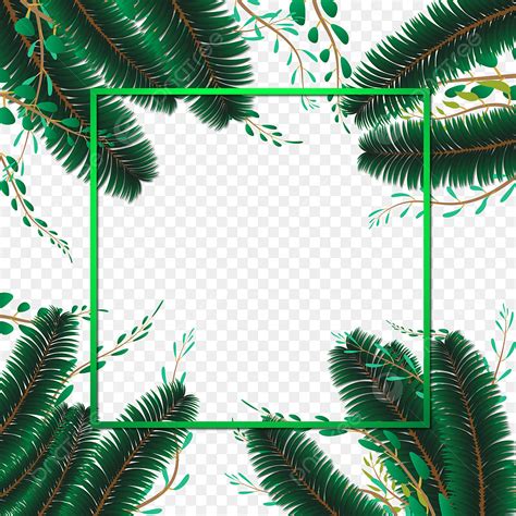 tropical palm leaves vector art png abstract tropical leaves palm tree border illustration