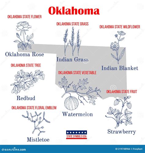 Oklahoma Set Of Usa Official State Symbols Stock Vector Illustration Of Fruit State 219748966