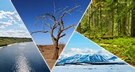 In ecology, the term habitat summarises the array of resources, physical and biotic factors that are present in an area, such as to support the survival and reproduction of a particular species. What is a Habitat? | Turtle Diary Video
