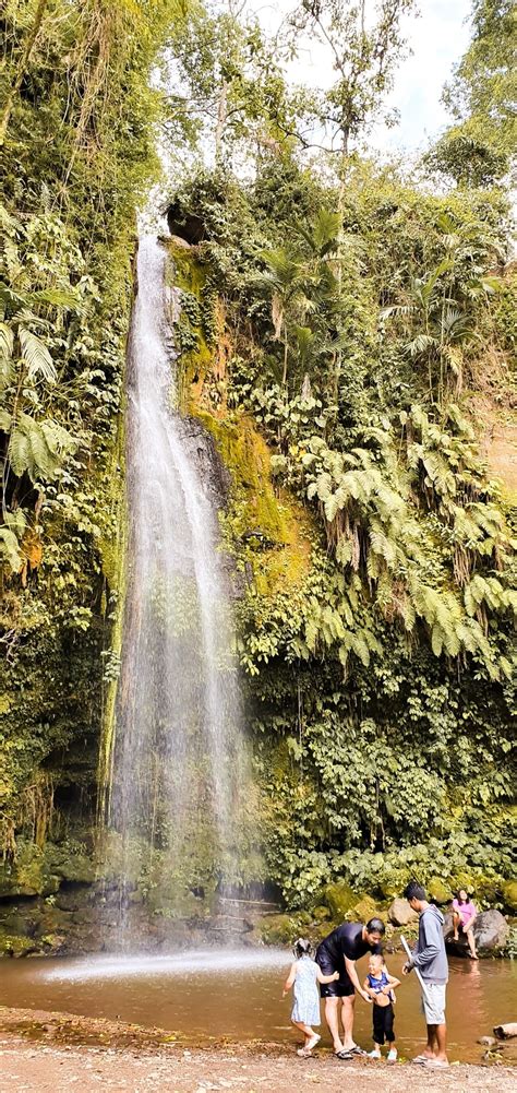 Menjelajah indahnya air terjun benang kelambu. Air Terjun Benang Kelambu dan Benang Stokel Lombok - BINUS ...