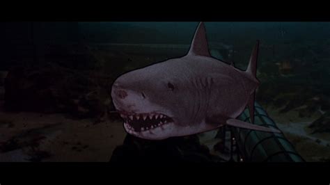 81 likes · 6 talking about this. Happyotter: JAWS 3 (1983)