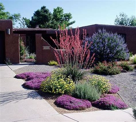 How To Design A Xeriscape Yard Saralee Web