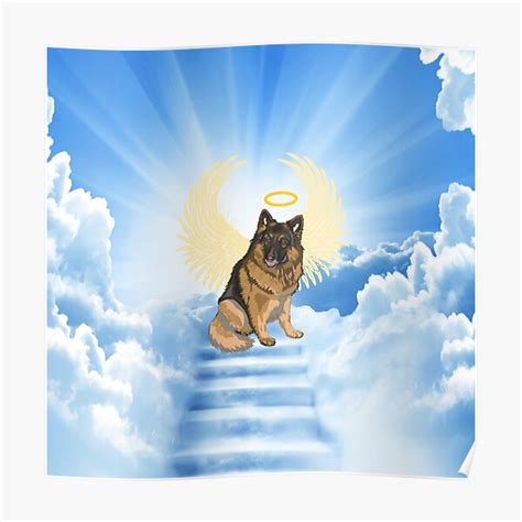 Heavenly Angels Animal Rescue 500 Animal Shelters Names And