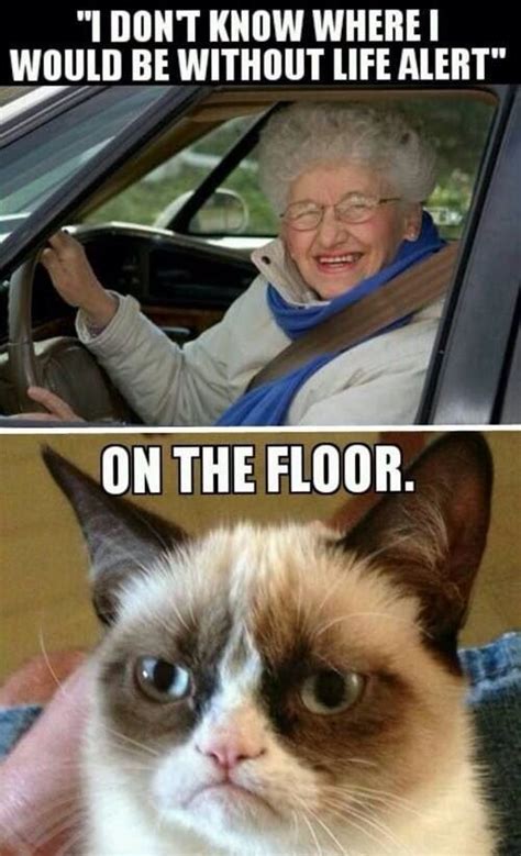 Grumpy Cat Im Crying Laughter Is Medicine For The Soul Grumpy Cat