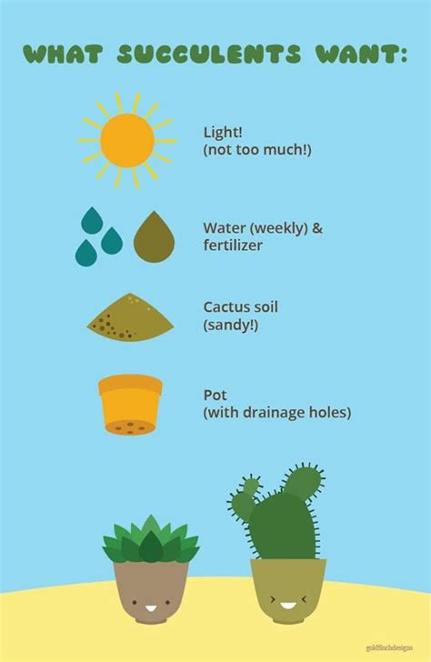 SUPER INFORMATIVE succulent care poster. enjoy. # ...