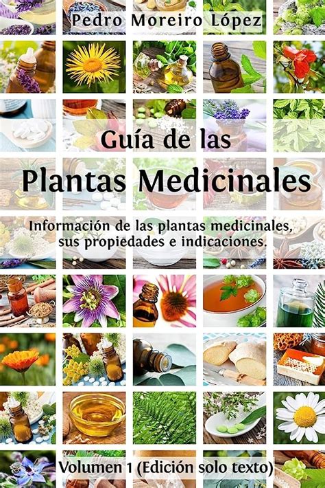 Plantas Medicinales Gu A Para Principiantes Thereasontohope Or Ke