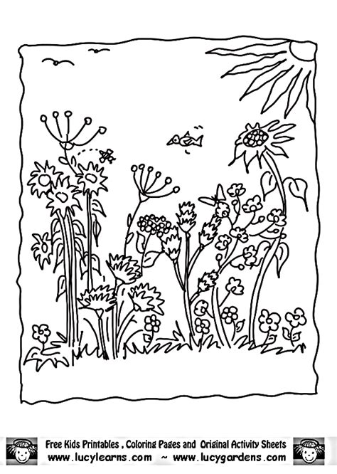 Flower Garden Coloring Pages Coloring Home