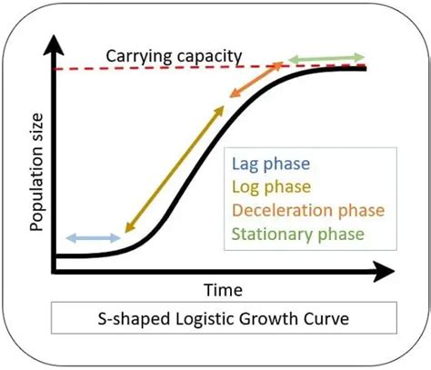 Difference Between Exponential And Logistic Growth With Comparison