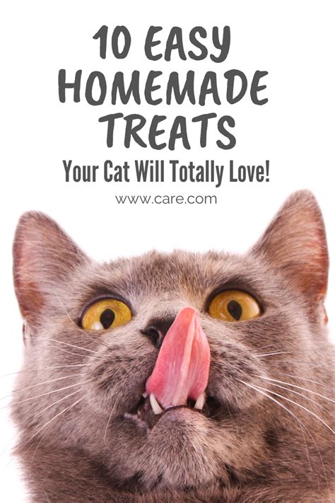 10 Homemade Cat Treats Your Kitty Will Love Cat Treats Homemade Best Cat Food Cat Food