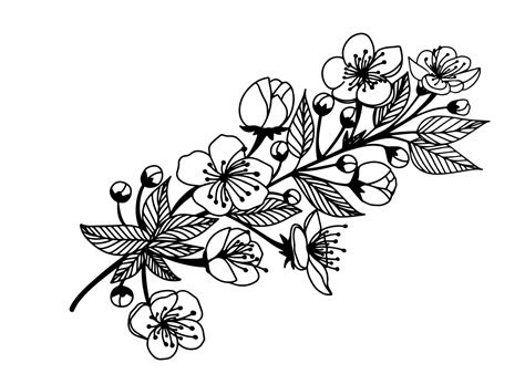 Kleurplaat bloemen 50 superleuke gratis kleurplaten bloemen