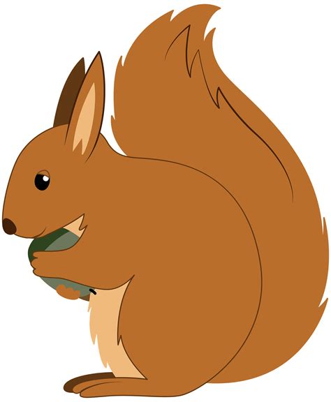 Squirrel Clipart Png Vector Psd And Clipart With Transparent Clip