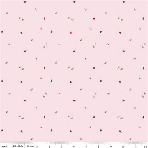 Riley Blake To Grandmothers House C14377 Pink Bits Of Berries The