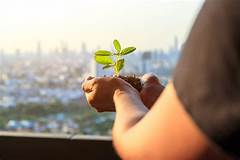 Eco Conscious Craigslist Space Coast Finds 50 Sustainable And Green Items For Your Home