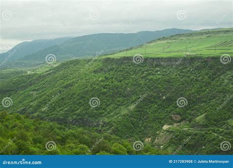 Forest On The Slope Of The Cliff Stock Photo Image Of Bird Beauty