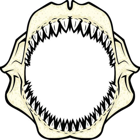 Animal Teeth Clip Art Vector Images And Illustrations Istock