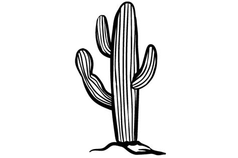 Saguaro Cactus Svg Cut File By Creative Fabrica Crafts · Creative Fabrica