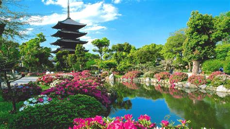 Beautiful Scenery View Of Garden Park Hd Japanese Wallpapers Hd