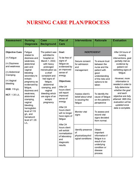 Nursing Ncp Ectopic Pregnancy Nursing Care Planprocess Assessment