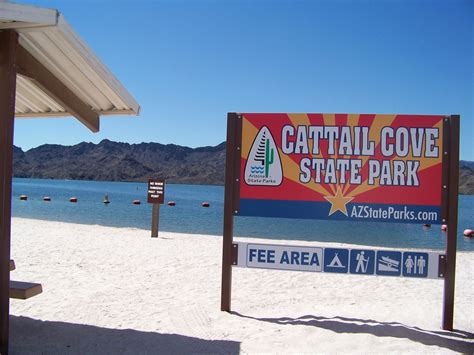 Cattail Cove State Park Lake Havasu City Az Top Tips Before You Go