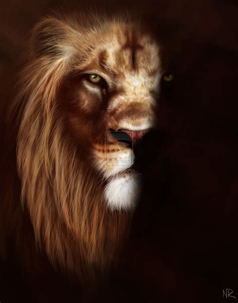 Angry Lion Wallpapers Top Những Hình Ảnh Đẹp