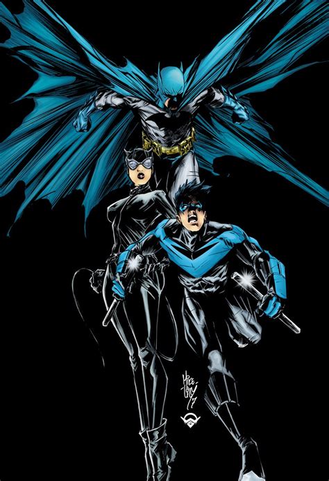 Comic Art Patientcomicaddict Batman Catwoman And Nightwing