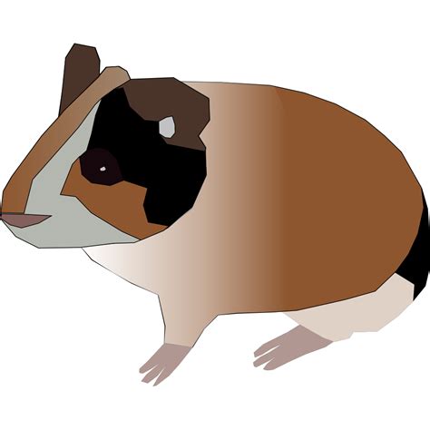 Guinea Pig Svg File