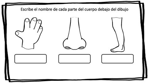 Partes Del Cuerpo 008 Orientación Andújar Recursos Educativos