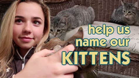 Its Naming Our New Kittens What Do You Think Youtube