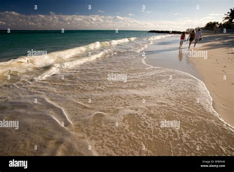 Beach On Grand Bahama Island Bahamas Stock Photo Alamy