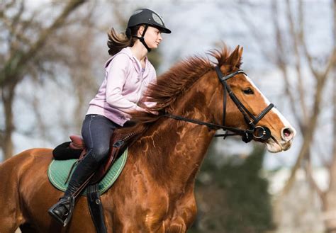 Can You Teach Yourself To Ride A Horse Equestrian Space