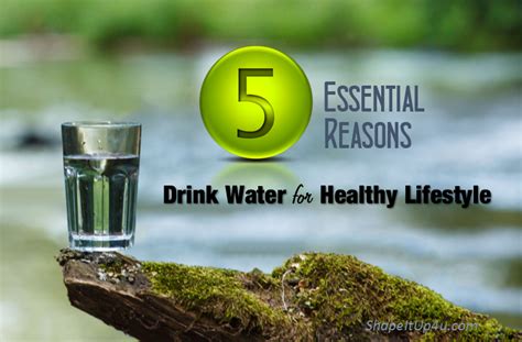 5 Essential Reasons To Drink Water For A Healthy Lifestyle Drinking