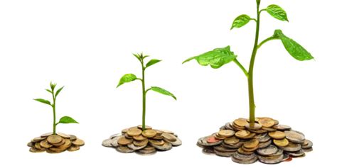 Profit (real property), a nonpossessory interest in land. The meaning and symbolism of the word - «Profit»