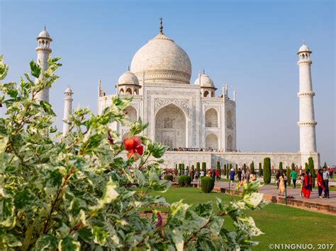 Flower Taj Mahal Agra India The Taj Mahal Meaning Cro Flickr