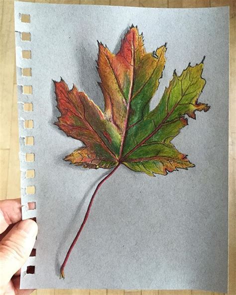 John Britton On Instagram Maple Leaf In Colored Pencil Color