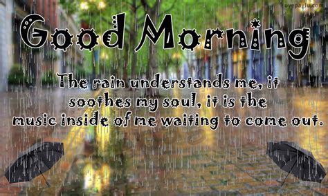 Check spelling or type a new query. 50+ Good morning rain images for free download