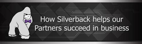 How Silverback Works With Partners Silverback Data Center Solutions Inc