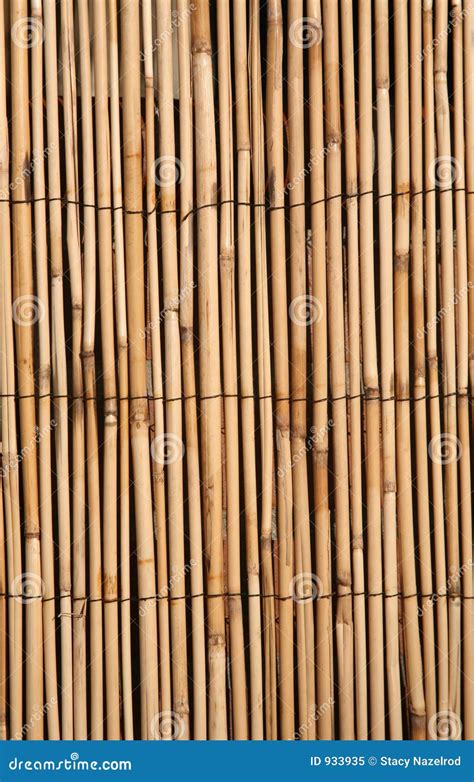 Bamboo Texture Background Stock Image Image Of Bamboo 933935