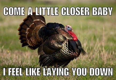 Funny Turkey Hunting Memes Hunting Memes Turkey Hunting Hunting Humor
