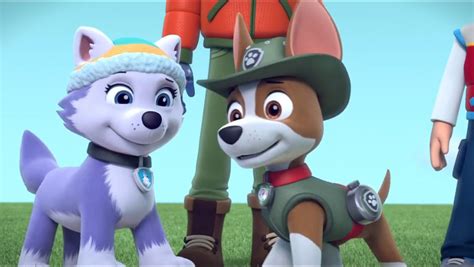 Paw Patrol Tracker And Everest Blank Template Imgflip
