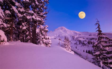 Free Download Wallpaper Winter Snow Night Moon Mountains Tree Desktop