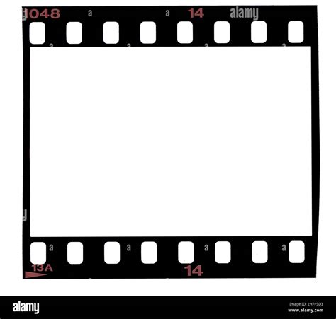 Film Strip Texture With Blank Space Template Background And Path For